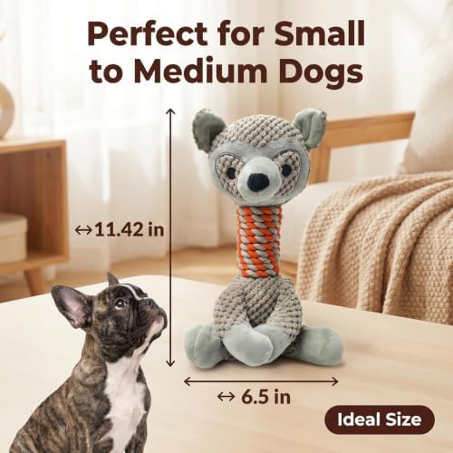 Indestructible Raccoon Plush Squeaky Dog Toy for Aggressive Chewers