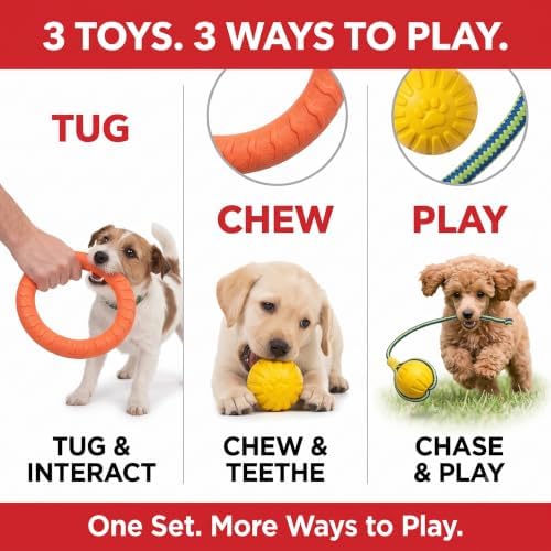 3-Piece Puppy Toys, EVA Chew Toy Set for Small Dogs