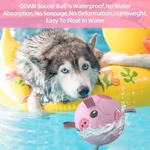 QDAN Dog Toys Soccer Ball with Straps, Balls for Dogs, Pig Dog Toy, 8 Inch