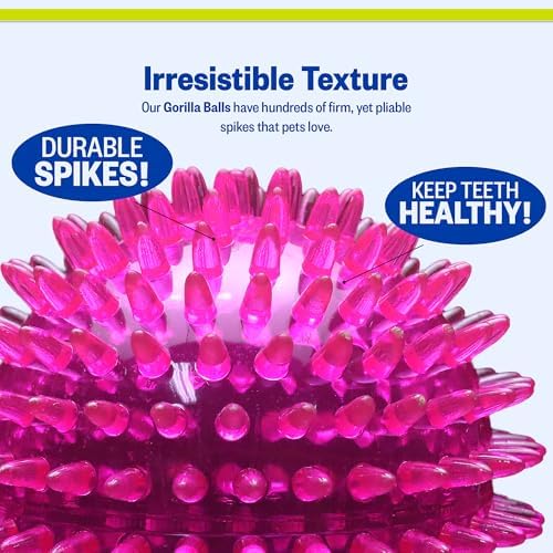 PetSport Gorilla Spiky Ball 4” - Spiky Rubber Dog Ball Toy, Interactive Puppy Toy for Small and Medium Size Dogs, TPR Rubber, Vanilla Scented - 4 Inch, Large
