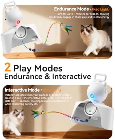 ROJECO Interactive Cat Toys,Automatic Feather & Mouse Door Hanging Cat Toys