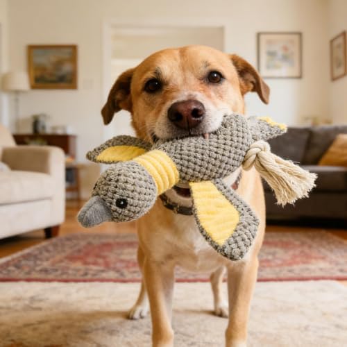 Dog Squeaky Toy Plush Goose Dog Chew Toy with Cotton Rope Tassels, Interactive Tug Toy for Small, Medium and Large Dogs