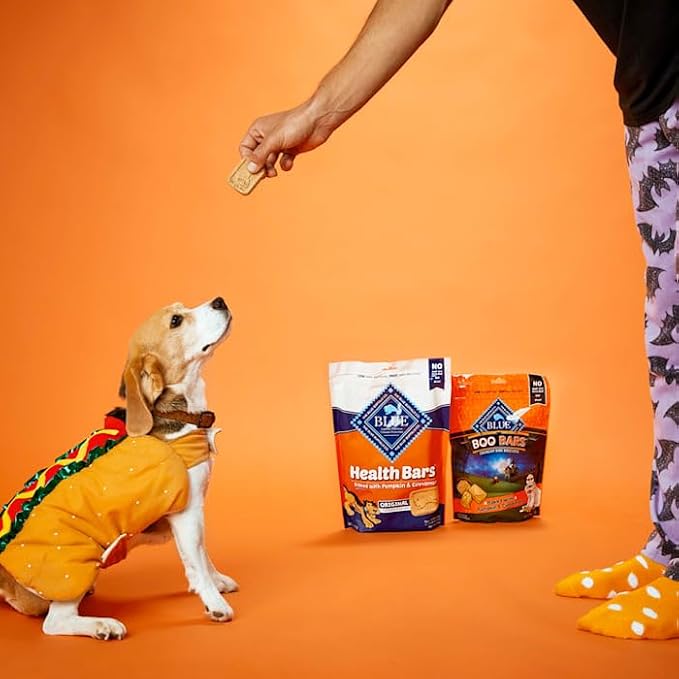 Blue Buffalo Health Bars Pumpkin & Cinnamon Dog Biscuits, 16 oz | Oven-Baked, Crunchy Texture, No Chicken By-Product, Corn, Wheat, or Soy