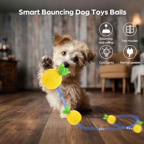 2Pcs Interactive Dog Ball Toys,Smart Small Medium Dog Toys to Keep Them Busy with 3 Cover, Automatic Rolling and Jumping Pet Balls Ball for Dogs,Pet Interactive Toy Balls.Not for Aggressive Chewers.