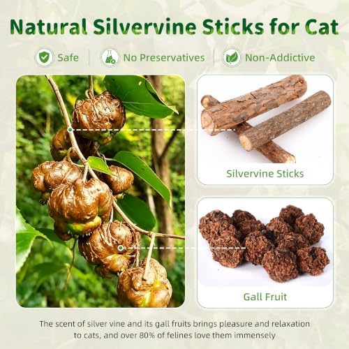 GBSYU Silvervine Sticks Cat Kitten Chew Toys for Indoor Cats Teeth Cleaning
