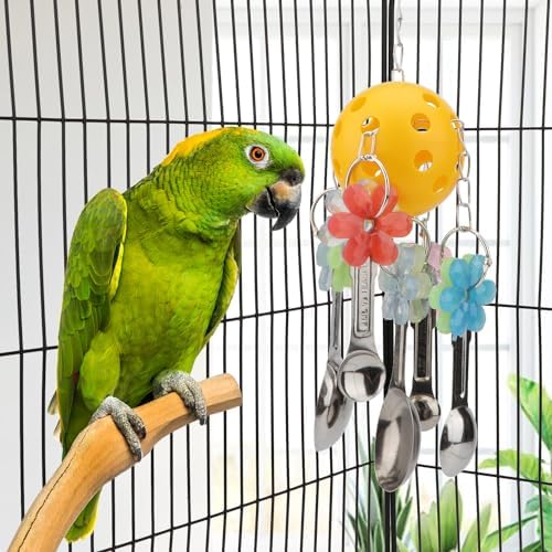 Hypeety Parrot Ball Toy Plastic Colorful Bird Chew Ball with Bells for Cage