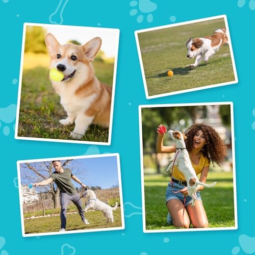 PrimePets Squeaky Dog Tennis Balls 12 Pack, 2.5” Durable High-Bounce Tennis Balls for Dogs, Dog Ball for Fetch & Training, Outdoor Interactive Dog Toy Ball for Small and Medium Dogs