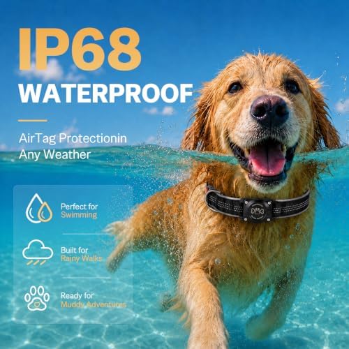 Dog Collar with AirTag Holder Waterproof QR Code Reflective Collar(Black,S) | Built-in Waterproof Holder, QR Code Tag, Reflective,Secure Buckle