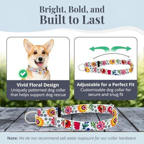 Lucky Love Dog Martingale Collar for Small Dogs No Slip – Ladybird, Small
