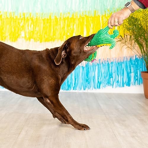 Fringe Studio Plush Dog Toy, Thorny But Cute, PetShop Collection (314156)