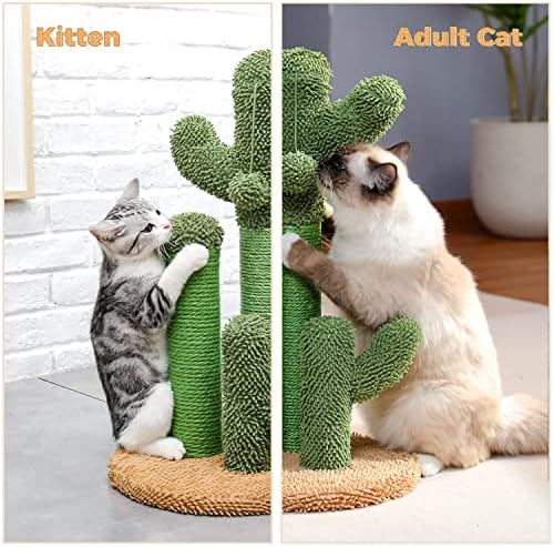 PAWZ Road Cactus Cat Scratching Post 23”Cat Scratcher with Toy Ball