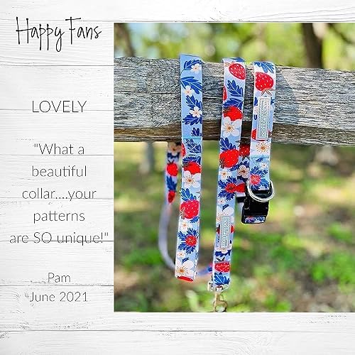 Lucky Love Dog Martingale Collar & Leash Set No Slip – Sweet Berry, Small