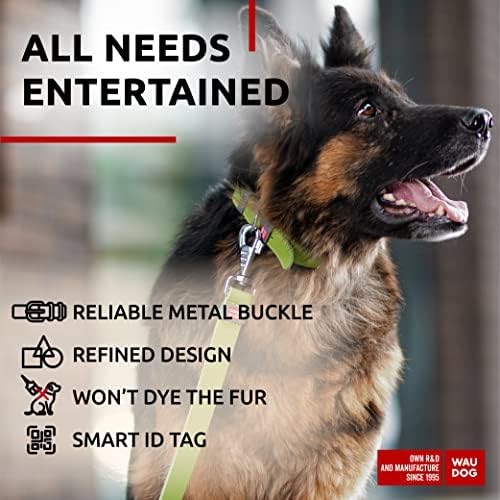 WAUDOG Genuine Leather Dog Collar Adjustable Large Medium Small QR Code Tag