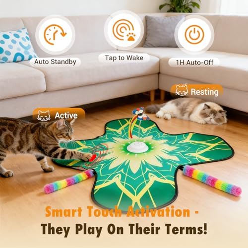 Interactive Indoor Cat Toy, Rechargeable Touch Automatic Hide and Seek Mat