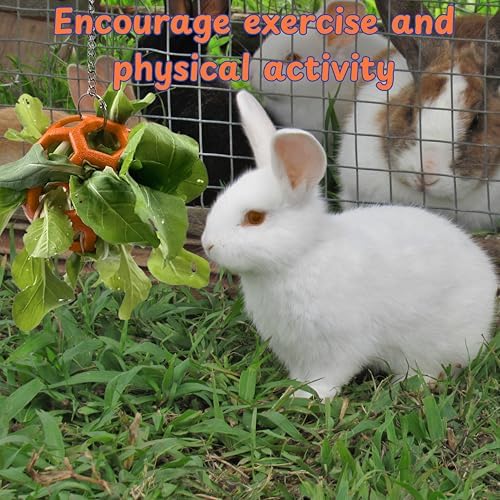 Rabbit Treat Ball Bunny Enrichment Toys with Stainless Steel Hanger Set, Veggie Feeding Rabbit Ball Toy for Bunny Hedgehog Tortoise Guinea Pig Rabbits, Pets Treat Balls Accessories (Orange)