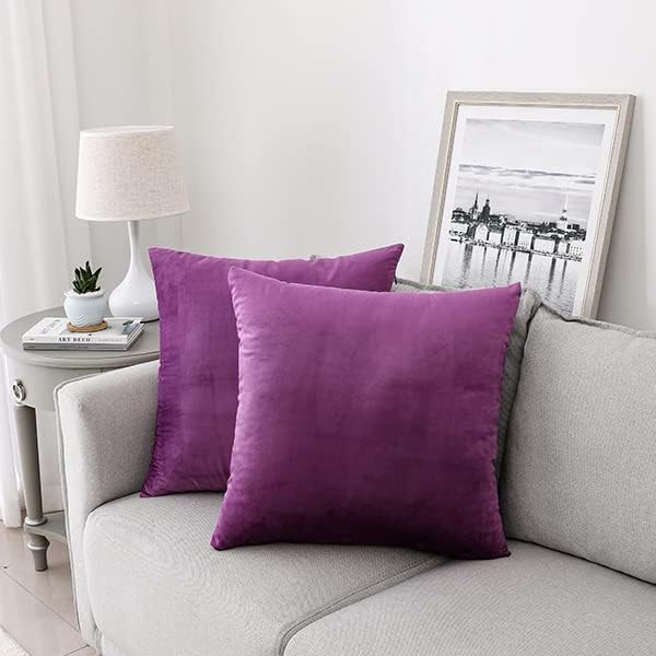 NiNi ALL Purple Velvet Throw Pillow Covers 22x22 Pack of 2 Decorative Couch | Soft Solid Boho Cushion Squar Pillow Cases for Chair Sofa Bedroom Farmhouse Living room Modern Luxury Home Decor Christmas