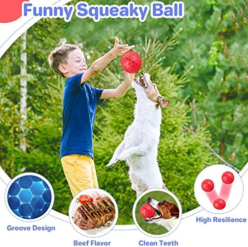 DISSKNIC Indestructible Squeaky Dog Balls Puppy Toys, Interactive Dog Toys for Small Dogs, Puppy Chew Toys for Teething and Relax, Dog Chew Toy Balls Small Dog Toys for Small Breed, Outdoor Dog Toys