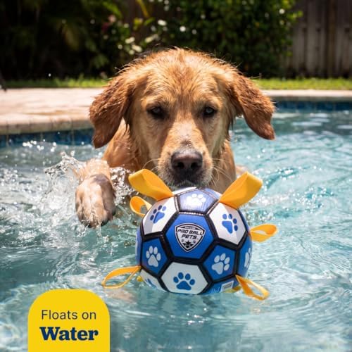 Maccabi Interactive Dog Soccer Ball for Dogs, 6” with Straps & Grab Tabs, Floats on Water, Fetch & Training Toy for Small/Medium Dogs, Herding Breeds, Waterproof Non-Toxic – ProBall Pets – Blue White