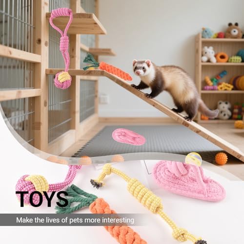 Ferret Toys Set Chew Rope Squeaky Exercise Toy Ferrets Rat Small Animals