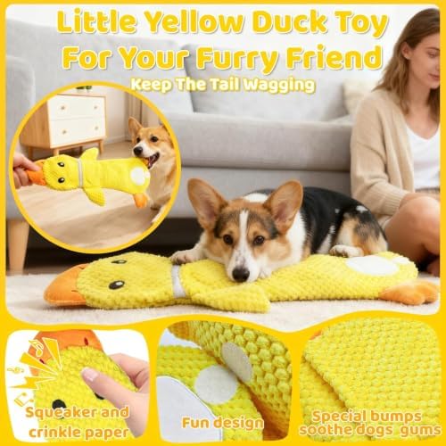 2 Pack Interactive Dog Toys for Small Dogs,No Stuffing Tug Toy