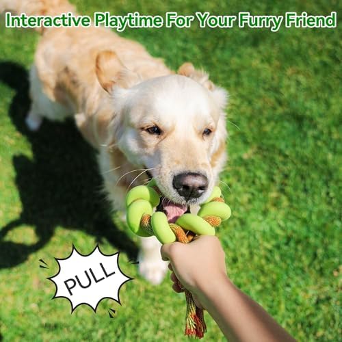 ALL FOR PAWS 6.1" Dog Ring Toy, Flying Ring for Fetch, Training & Outdoor Play, TPR Foam & Rope Dog Toy for Throwing, Catching, Tug Toys for Small, Medium & Large Dogs