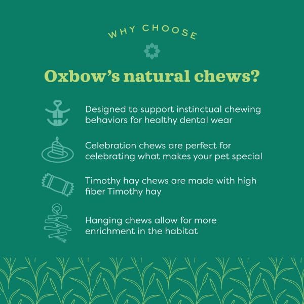Oxbow Enriched Life Celebration Cupcake - Toy for Rabbits, Guinea Pigs, Hamsters, Rats
