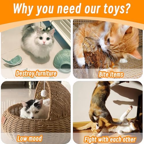 Seyezo Catnip Toys for Indoor Cats, Cat Toys for Cats, Vegetable, 5 Pack