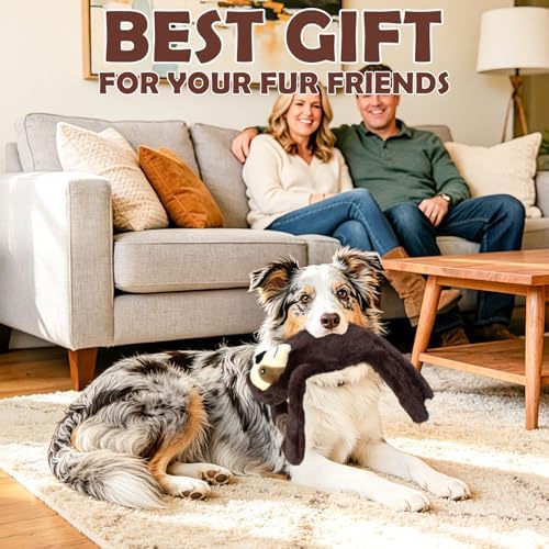 No Stuffing 2-Pack Dog Toys, Squeaky Plush with Crinkle Toy for Medium Pets