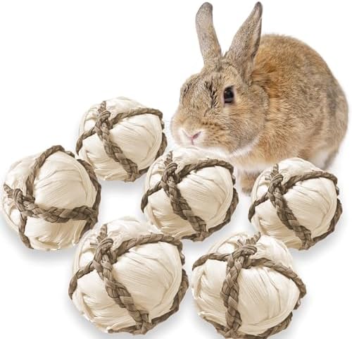 SunGrow Assorted Rabbit & Cat Chew Balls, Teething Activity Toy for Pocket Pets, Improves Dental Health, Environment Friendly, Stress Reliever (Corn Leaf, 6 Pcs)