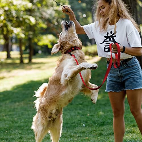 Reflective Dog Collar, Quick-Release Buckle (Red, 12-16 Inch)
