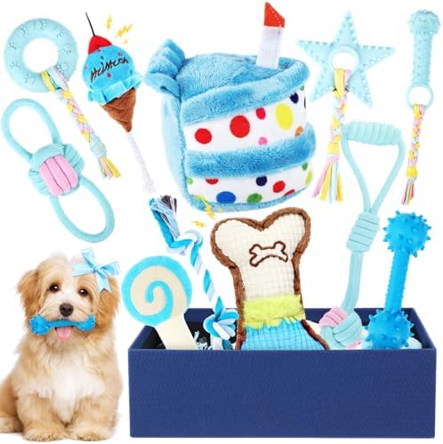 RoundFunny 11 Pcs Dog Birthday Toy Gift for Dog Birthday Cake Puppy Girl Boy Squeak Toys Interactive Puppy Gift with Box for Small Medium Size(Classic,Blue)