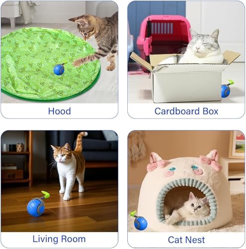 Automatic Moving Cat Toy, 2026 Upgrade Motion Activated Ball with Feather Tail, USB Rechargeable Smart Cat Toys for Indoor, Fun Exercise for Kittens (Blue and Orange)