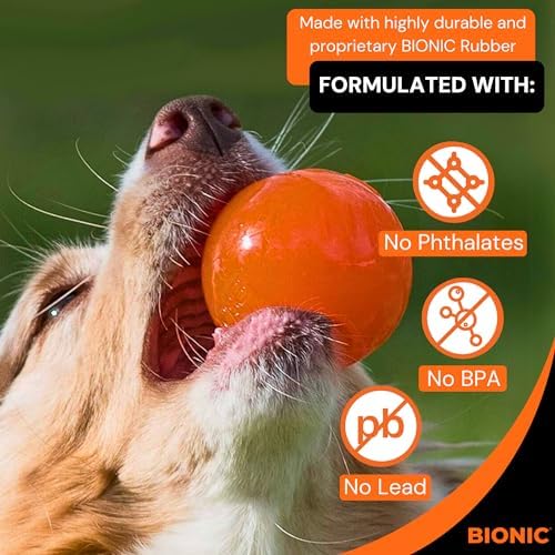 BIONIC Ball Dog Toy for Dogs Between 15-35 lbs, Medium