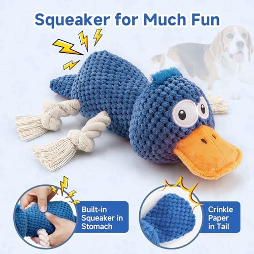 Squeaky Dog Toys, Interactive Duck Dog Toy for Small Medium Dogs