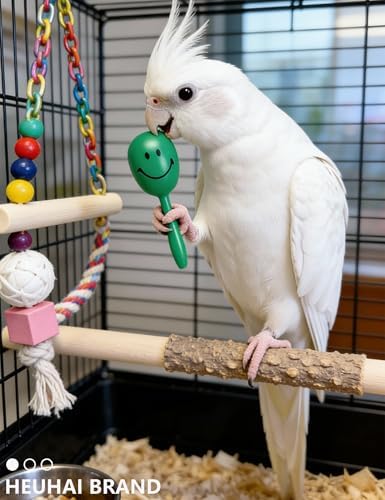 10-Pack Bird Toys – Colorful Fun