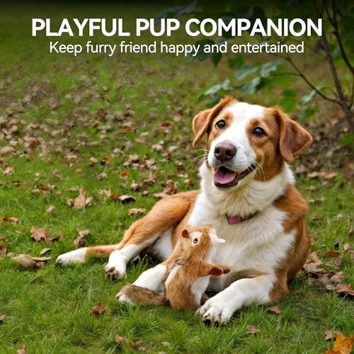 ALL FOR PAWS Squeaky Dog Toys, Plush Dog Toy, Stuffed Animal Dog Toys for Small Medium Large Dogs, Soft Chipmunk Toy with Squeaker