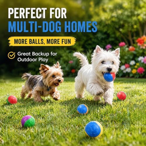 10-Pack Durable Dog Training Balls, Durable Chew Toys for Puppy and Small Breeds, Bouncy Interactive Fetch Toys for Garden Herding and Agility Play (Assorted Colours)