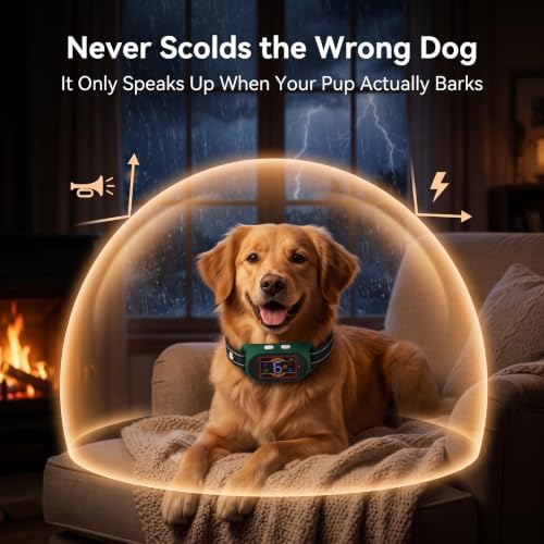 Voice Memo Anti Bark Collar, Smart Dog Bark Collar, Grey | Custom Voice Recording, 4 Humane Training Modes, 6 Adjustable Sensitivity Levels, Rechargeable, for Small Medium Large Dogs
