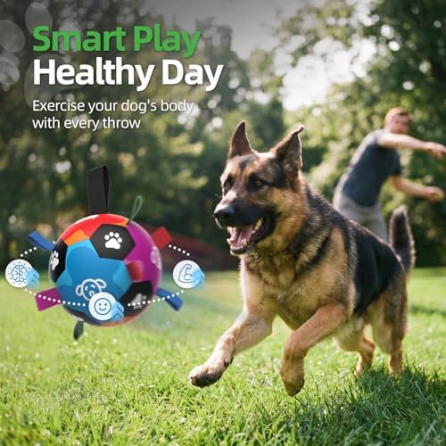 QDAN Large Dog Toys, Big Dog Balls for Aggressive Chewers, Birthday Gifts