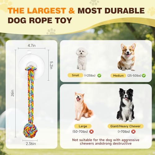 Interactive Dog Toy for Tug of War with Rope Ball for Small Dogs,Rainbow