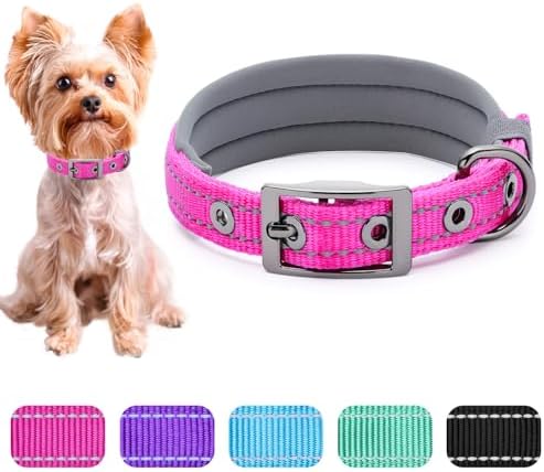 Segarty Reflective Dog Collar for Small Dogs, Adjustable Wide Soft Comfortable Breathable Neoprene Padded Nylon Collar with Heavy Duty Metal Buckle for Pet Puppy Small Breeds (S, Hot Pink)