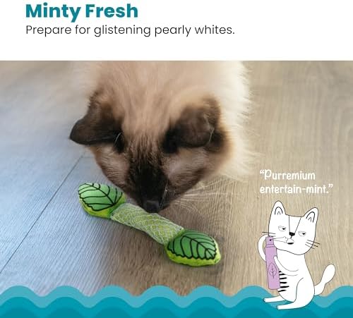 Catstages Fresh Breath Mint Stick Dental Cat Chew Toy with Catmint,Teeth Cleaning & Fresh Breath,Solo or Interactive Play,Green,(Pack of 2)