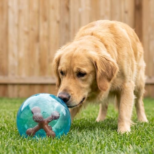 KONG Jumbler Jacks Dog Ball Toy, Interactive Rolling Rattle Ball