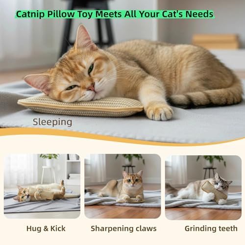 Catnip Sisal Pillow Toy, 2 Pack Catnip Pillow Toy