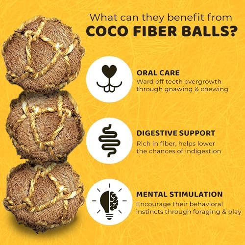 SunGrow Assorted Rabbit & Cat Chew Balls, Teething Activity Toy for Pocket Pets, Improves Dental Health, Environment Friendly, Stress Reliever (Coconut Fiber, 3 Pcs)