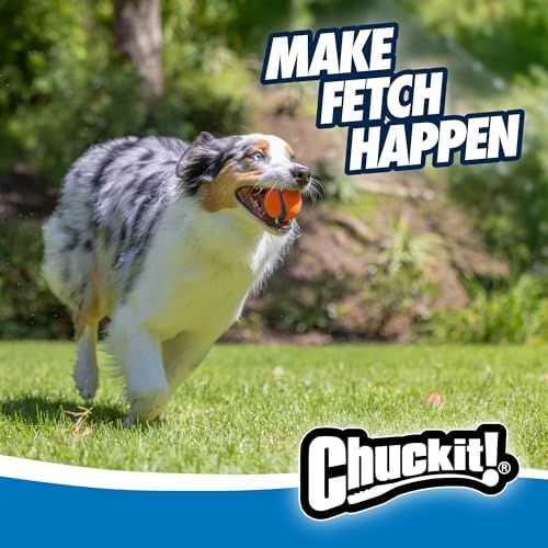 Chuckit! Ultra Ball Toy, Medium 2.5in for Breeds 20-60lbs, 1 Pack