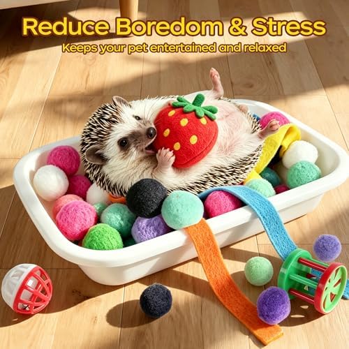 Hedgehog Toys & Accessories, Enrichment Toy Set with Dig Box & Balls