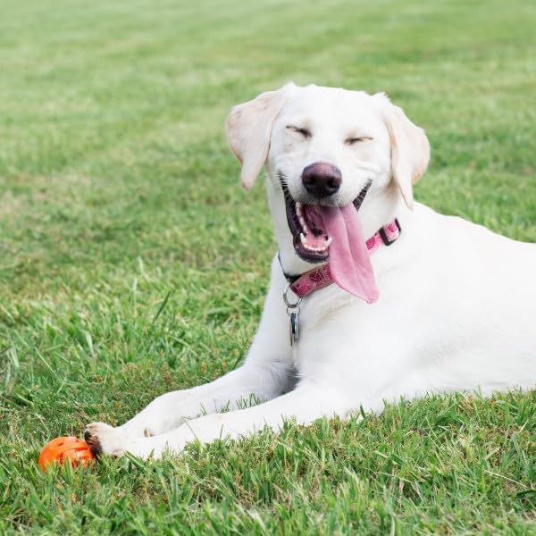Chuckit! Air Fetch Ball Dog Toy, XL 3.5in, for Dogs Over 100lbs