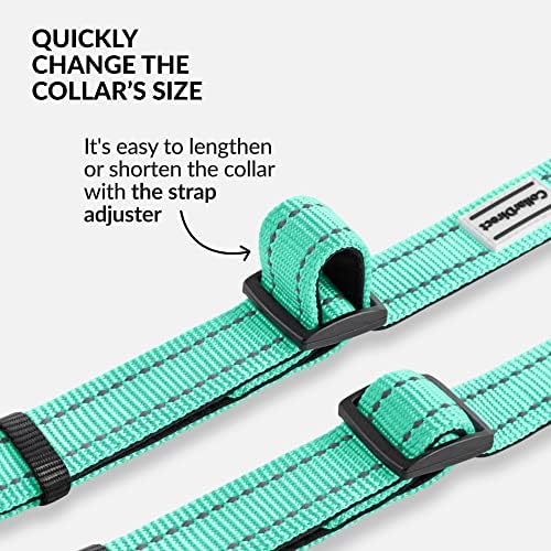 Reflective Dog Collar, Quick-Release Buckle (Mint Green, 14-18 Inch)