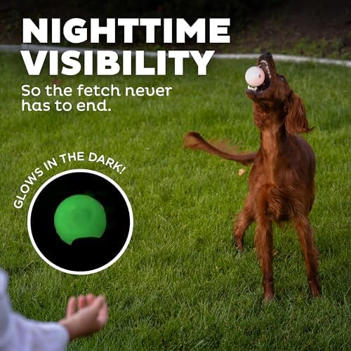 Outward Hound by Planet Dog Strobe Ball Glo Light Up LED Ball Dog Toy